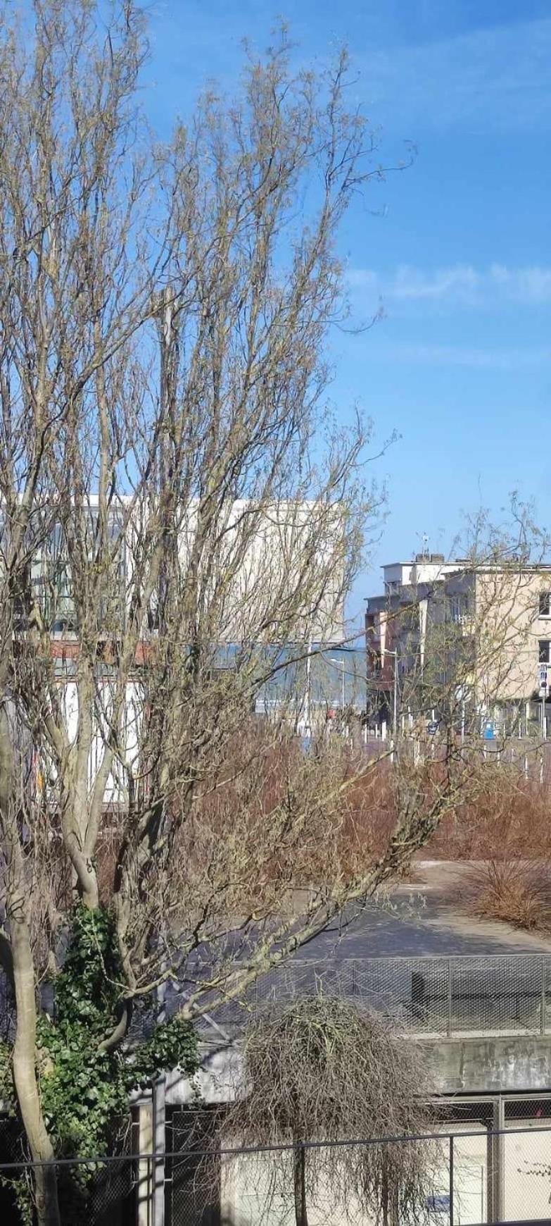 Appartement Dam&helmalo - 150m De Belle Du Nord. *